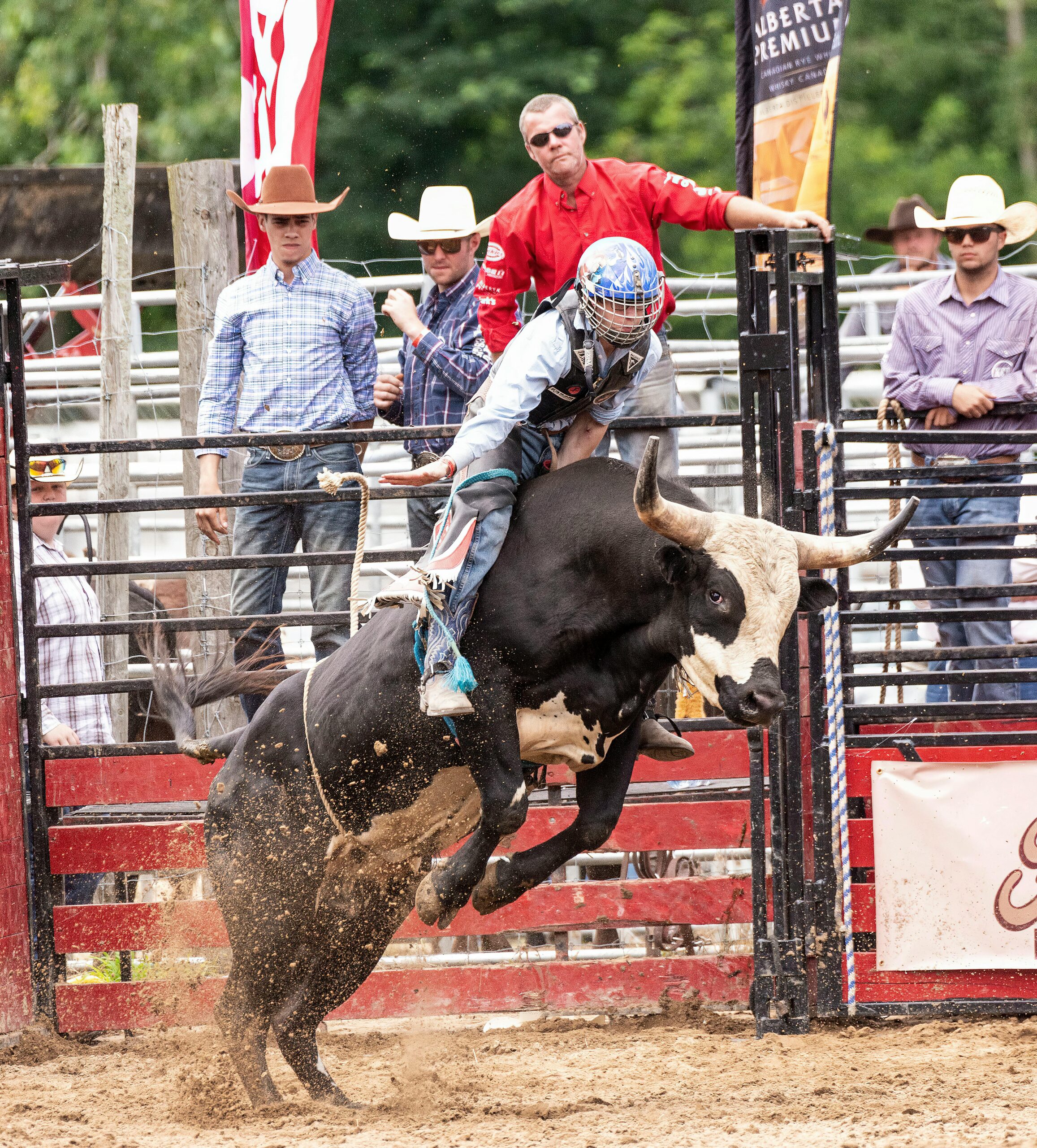 Bull riding athlete on a powerful rodeo bull leaving the chute, showing the high-impact demands that sports massage in Billings Montana helps support for pain relief and performance.